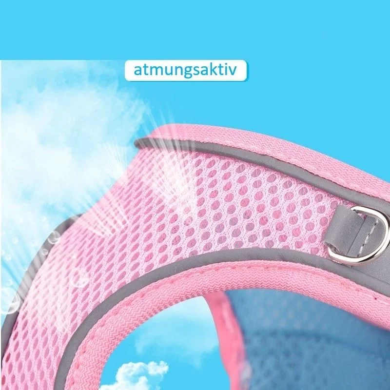 هارنس سگ کوچک، ست قلاده و هارنس سگ و قلاده گربه برای پیاده روی، قلاده برای سگ کوچک هارنس سگ کوچک، ست قلاده و هارنس سگ و قلاده گربه برای پیاده روی، قلاده برای سگ کوچک