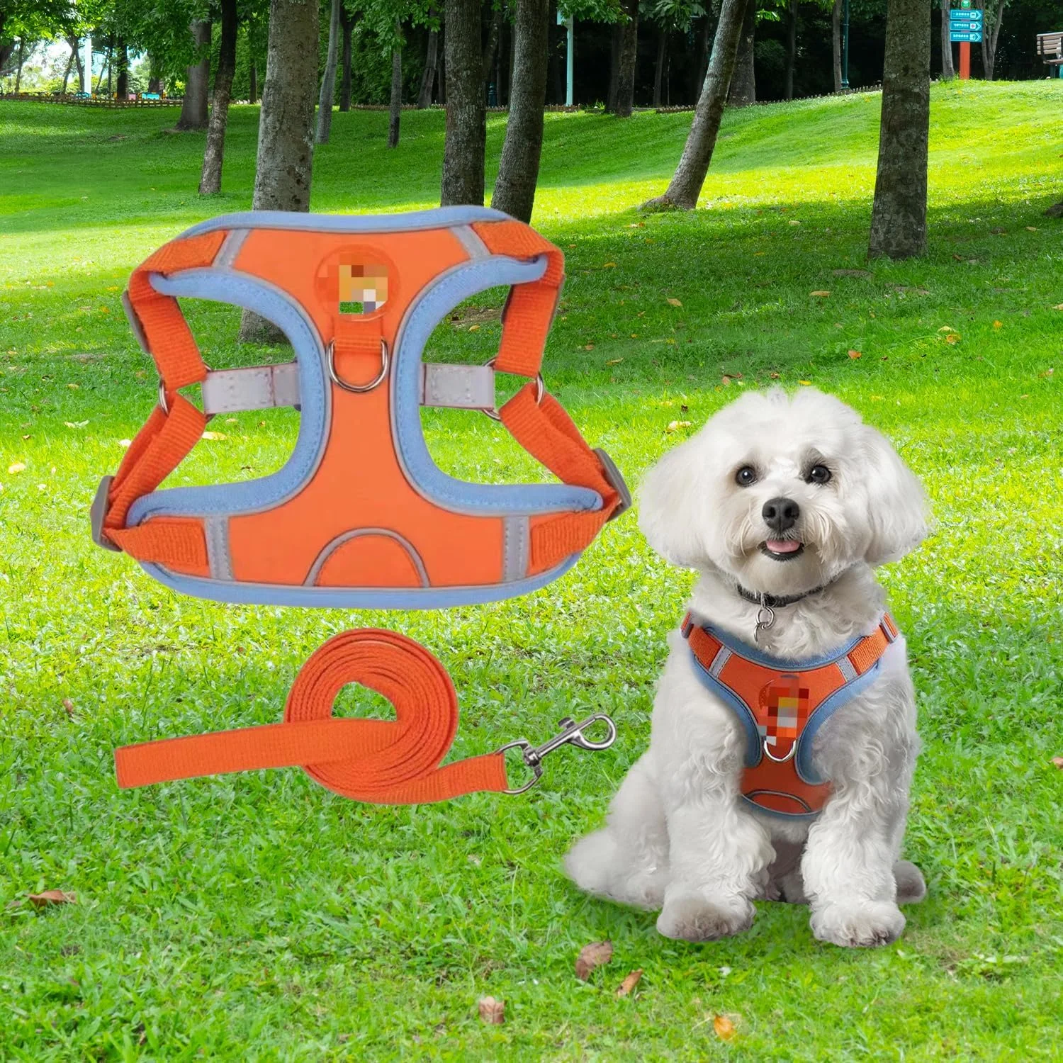 ست قلاده و بند سگ، قلاده توری نرم بدون کشش حیوانات خانگی، جلیقه توله سگ قابل تنظیم بازتابنده برای سگ ها، گربه های کوچک، متوسط و بزرگ ست قلاده و بند سگ، قلاده توری نرم بدون کشش حیوانات خانگی، جلیقه توله سگ قابل تنظیم بازتابنده برای سگ ها، گربه های کوچک، متوسط و بزرگ