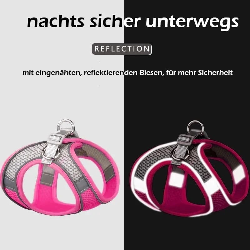 هارنس سگ کوچک، ست قلاده و هارنس سگ و گربه برای پیاده روی، بند برای سگ کوچک