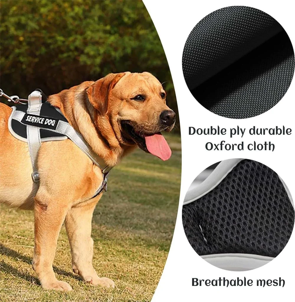 هارنس سگ بدون کشیدن سایز M، AZONEE مشکی و خاکستری، هارنس تاکتیکی برای سگ ها با بند برای پیاده روی، قابل تنظیم و تنفس آسان برای سگ های بزرگ متوسط، جلیقه بازتابنده بادوام