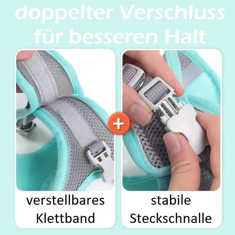 هارنس سگ کوچک، ست قلاده و هارنس سگ و قلاده گربه برای پیاده روی، قلاده برای سگ کوچک هارنس سگ کوچک، ست قلاده و هارنس سگ و قلاده گربه برای پیاده روی، قلاده برای سگ کوچک