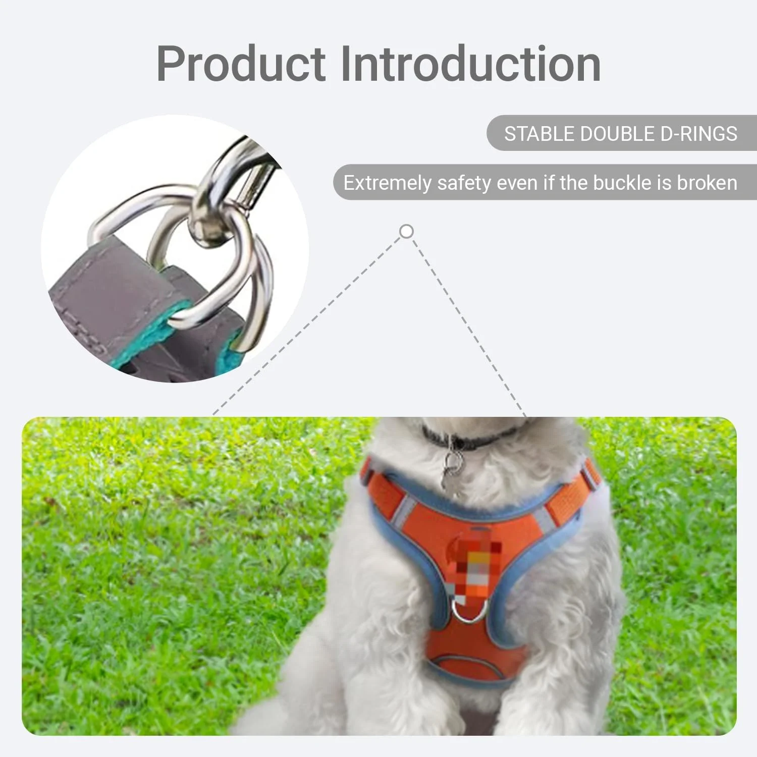 ست قلاده و بند سگ، قلاده توری نرم بدون کشش حیوانات خانگی، جلیقه توله سگ قابل تنظیم بازتابنده برای سگ ها، گربه های کوچک، متوسط و بزرگ ست قلاده و بند سگ، قلاده توری نرم بدون کشش حیوانات خانگی، جلیقه توله سگ قابل تنظیم بازتابنده برای سگ ها، گربه های کوچک، متوسط و بزرگ