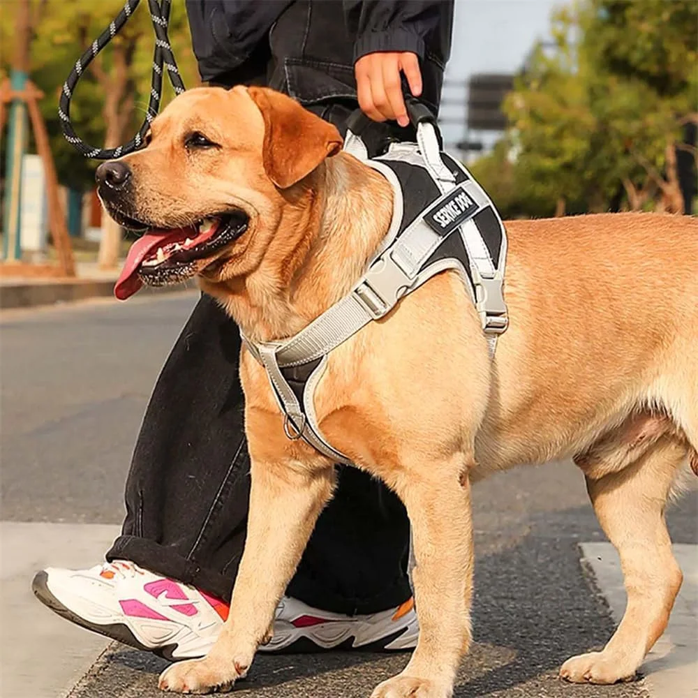 هارنس سگ بدون کشیدن سایز M، AZONEE مشکی و خاکستری، هارنس تاکتیکی برای سگ ها با بند برای پیاده روی، قابل تنظیم و تنفس آسان برای سگ های بزرگ متوسط، جلیقه بازتابنده بادوام