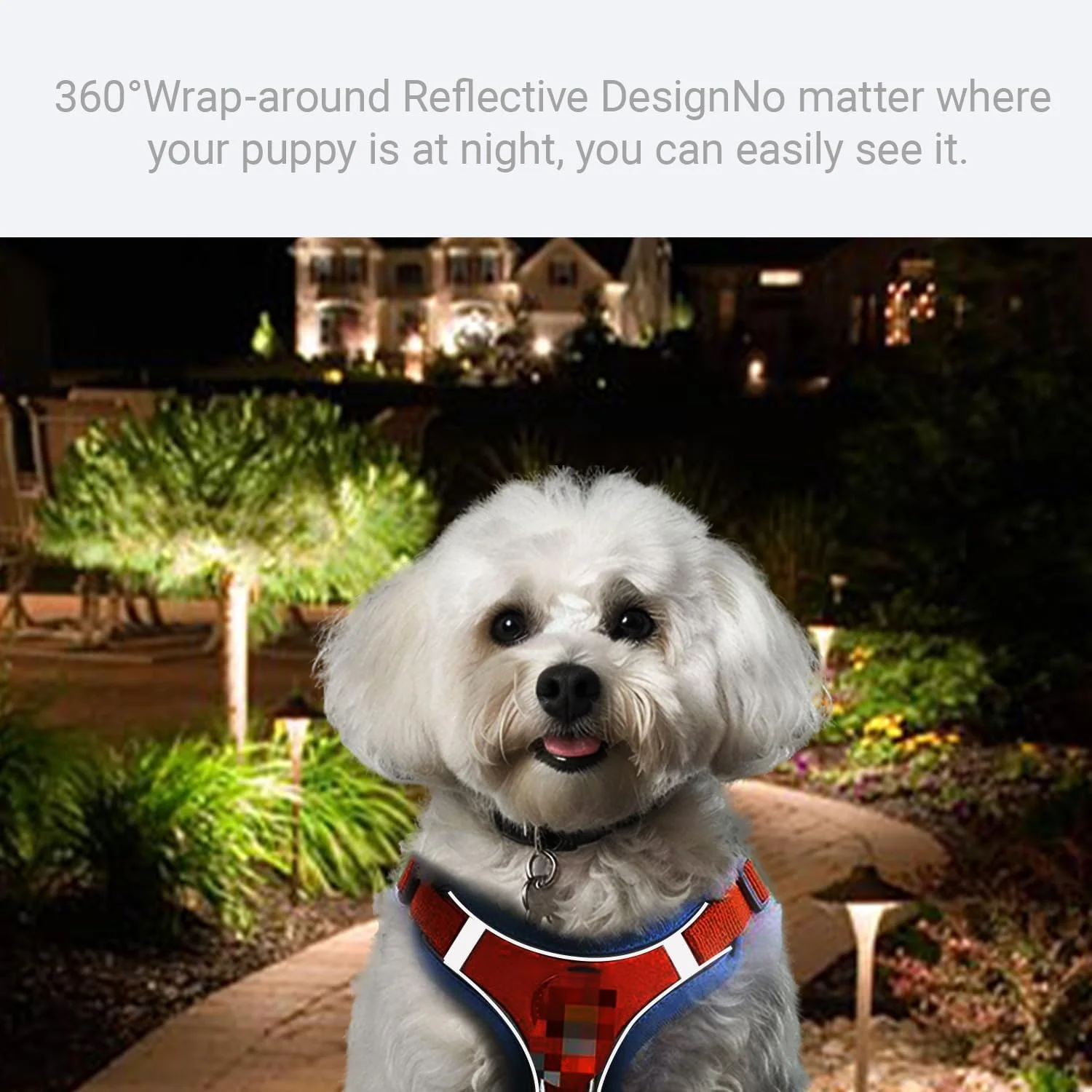 ست قلاده و بند سگ، قلاده توری نرم بدون کشش حیوانات خانگی، جلیقه توله سگ قابل تنظیم بازتابنده برای سگ ها، گربه های کوچک، متوسط و بزرگ ست قلاده و بند سگ، قلاده توری نرم بدون کشش حیوانات خانگی، جلیقه توله سگ قابل تنظیم بازتابنده برای سگ ها، گربه های کوچک، متوسط و بزرگ