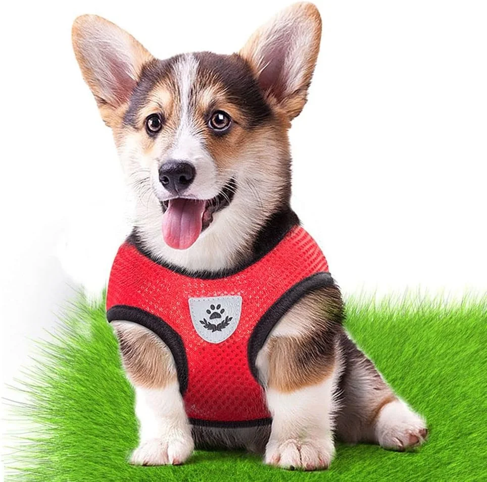 جلیقه سگ و گربه، لوازم حیوانات خانگی، قلاده تنفسی مناسب برای نژادهای مختلف (سایز S، بنفش) جلیقه سگ و گربه، لوازم حیوانات خانگی، قلاده تنفسی مناسب برای نژادهای مختلف (سایز S، بنفش)