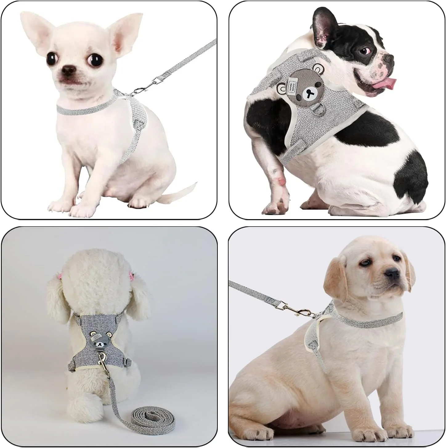 هارنس سگ کوچک، ست هارنس و بند نرم و قابل تنظیم برای سگ، گربه، خرگوش و حیوانات خانگی کوچک، مناسب برای سگ های خیلی کوچک/کوچک و متوسط، ست هارنس و قلاده سگ/گربه برای پیاده روی (خاکستری، S) هارنس سگ کوچک، ست هارنس و بند نرم و قابل تنظیم برای سگ، گربه، خرگوش و حیوانات خانگی کوچک، مناسب برای سگ های خیلی کوچک/کوچک و متوسط، ست هارنس و قلاده سگ/گربه برای پیاده روی (خاکستری، S)