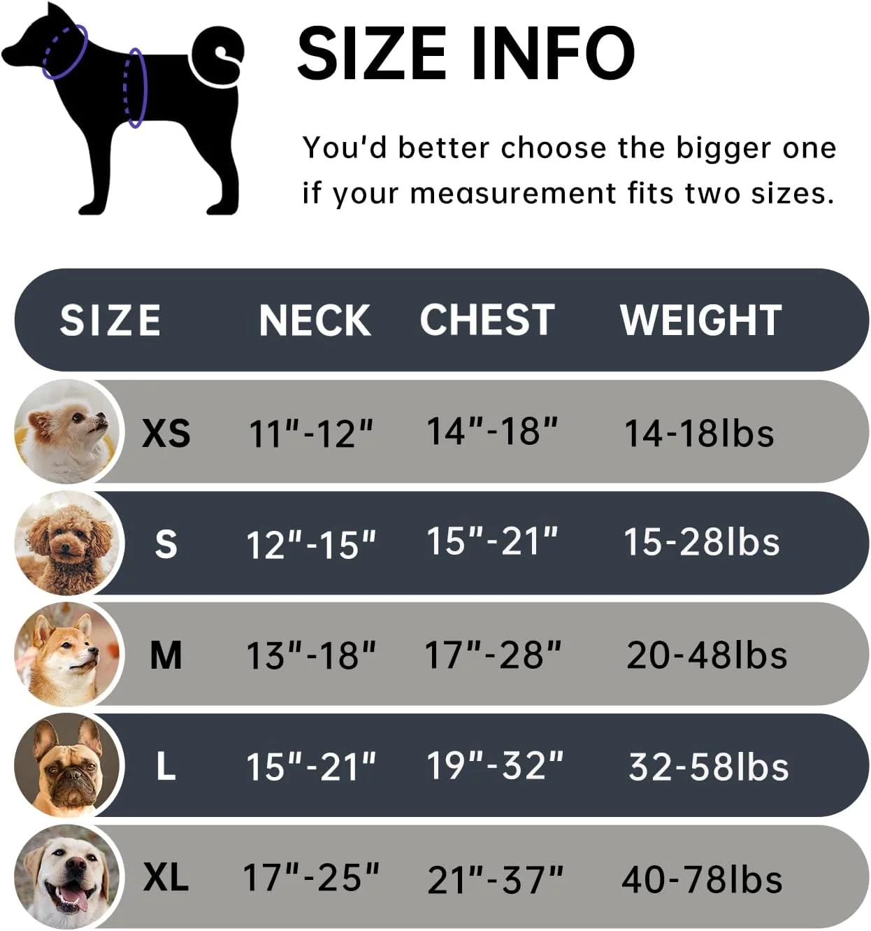 هارنس سگ آیوی اند لین بدون کشیدن برای سگ های بزرگ، هارنس جلیقه ای سگ با بند، کمربند ایمنی و بند نگهداری، هارنس کاملا قابل تنظیم، نوار بازتابنده 360 درجه، دسته نرم (مشکی، ایکس لارج) هارنس سگ آیوی اند لین بدون کشیدن برای سگ های بزرگ، هارنس جلیقه ای سگ با بند، کمربند ایمنی و بند نگهداری، هارنس کاملا قابل تنظیم، نوار بازتابنده 360 درجه، دسته نرم (مشکی، ایکس لارج)