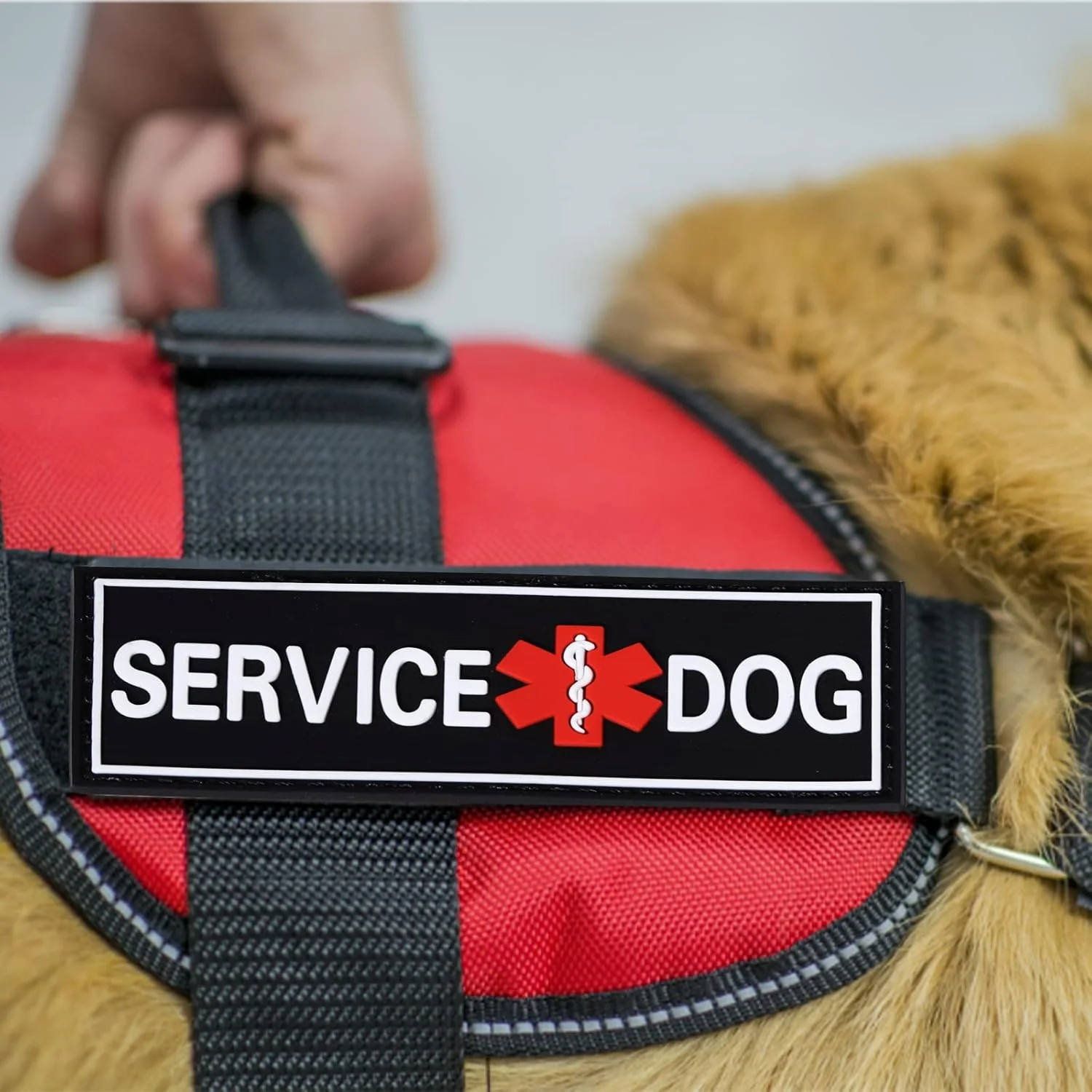 دو عدد برچسب سگ بازتابنده مشکی، تگ های سگ قابل جابجایی برای قلاده و افسار سگ