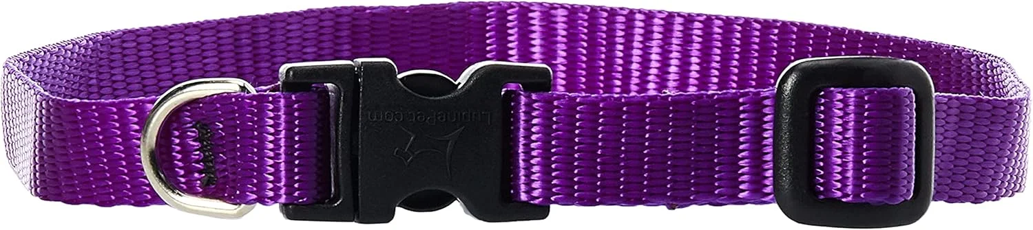 قلاده سگ لوپین، سایز 25-40 سانتیمتر، بنفش، پهنای 1.2 سانتیمتر قلاده سگ لوپین، سایز 25-40 سانتیمتر، بنفش، پهنای 1.2 سانتیمتر