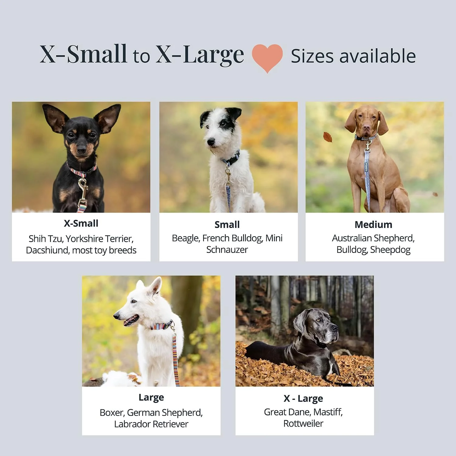 ست قلاده و بند سگ Lucky Love Dog مناسب سگ های ماده کوچک، متوسط و بزرگ - نرم، قابل تنظیم، ایمن برای آموزش و پیاده روی - Clara، سایز کوچک ست قلاده و بند سگ Lucky Love Dog مناسب سگ های ماده کوچک، متوسط و بزرگ - نرم، قابل تنظیم، ایمن برای آموزش و پیاده روی - Clara، سایز کوچک