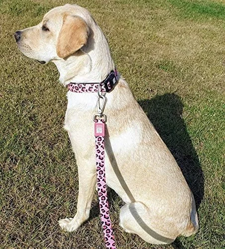 قلاده سگ Max & Molly Urban Pets Smart ID - نئوپرن نرم، ضد آب، قابل شستشو در ماشین لباسشویی، سگک قوی، تگ QR و پروفایل برنامه سفارشی، پلنگی صورتی سایز M قلاده سگ Max & Molly Urban Pets Smart ID - نئوپرن نرم، ضد آب، قابل شستشو در ماشین لباسشویی، سگک قوی، تگ QR و پروفایل برنامه سفارشی، پلنگی صورتی سایز M