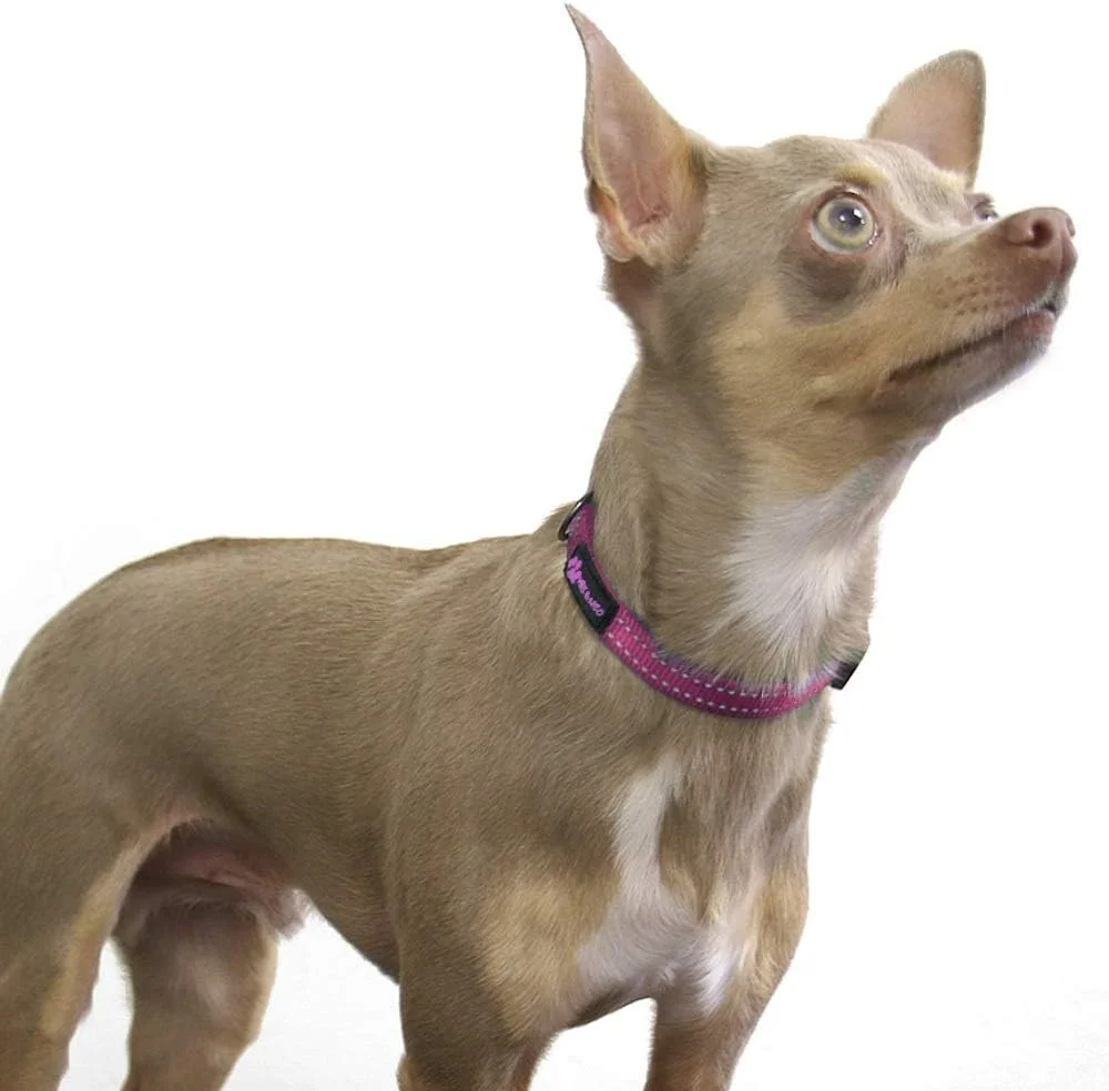 قلاده سگ نئو نایلونی سگ های بزرگ - با هر خرید، یک قلاده به سگ های نجات اهدا می کنیم (خیلی کوچک، صورتی)