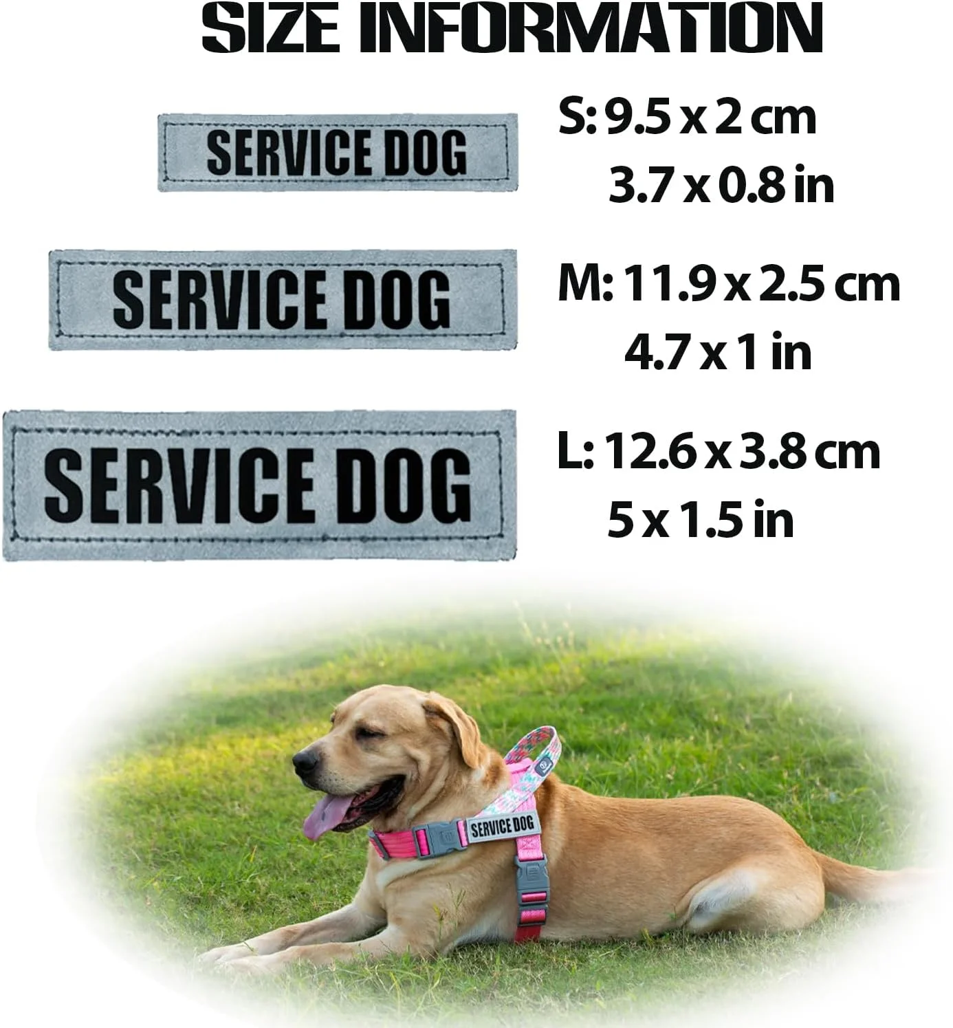 برچسب سگ خدمتکار، بسته 2 عددی برچسب سگ بازتابنده، برچسب های سگ قابل جابجایی برای هارنس با پشتی قلاب برای قلاده هارنس حیوان خانگی (سگ درمانگر، L)