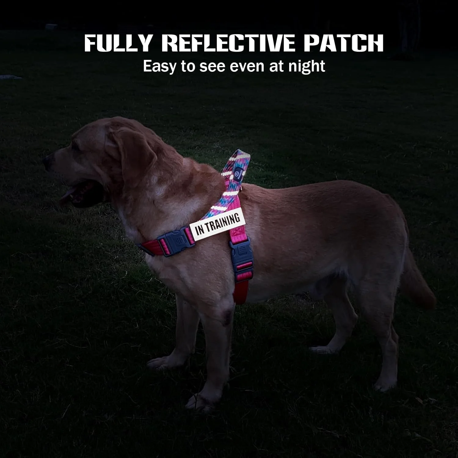برچسب سگ خدمتکار، بسته 2 عددی برچسب سگ بازتابنده، برچسب های سگ قابل جابجایی برای هارنس با پشتی قلاب برای قلاده هارنس حیوان خانگی (سگ درمانگر، L)