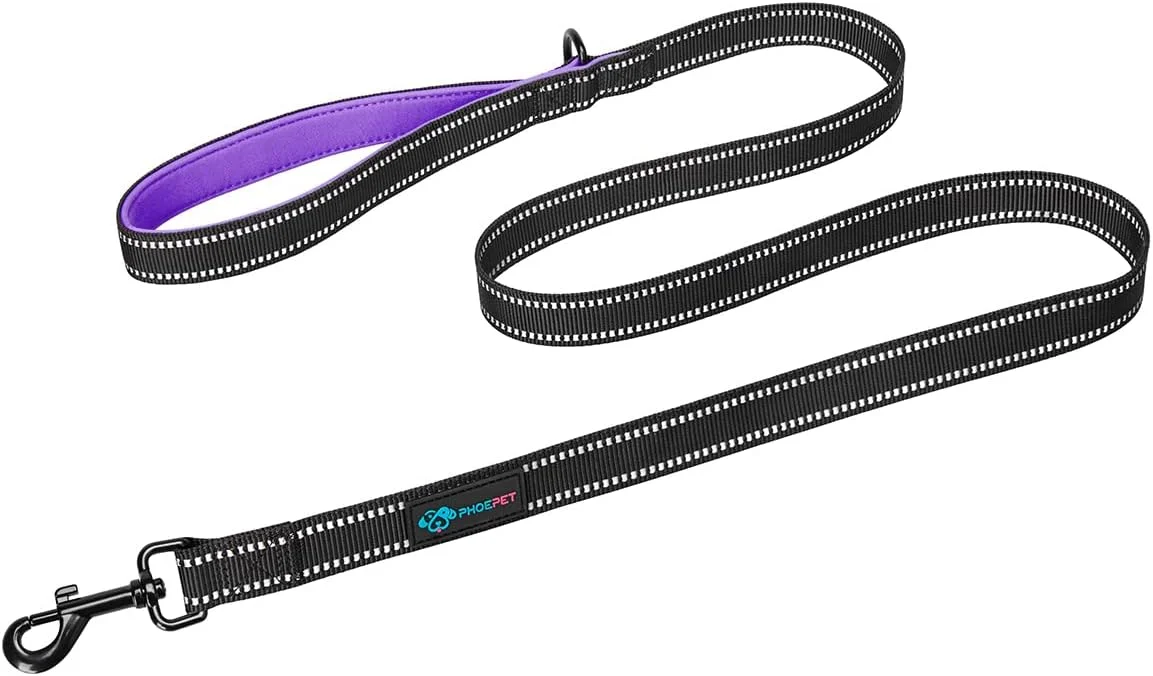 بند قلاده سگ فئوپت، 1.5 متری، مقاوم - دارای بازتابنده - دسته نرم و پد دار با دستگیره ترافیکی برای کنترل بیشتر (بزرگ، بنفش) بند قلاده سگ فئوپت، 1.5 متری، مقاوم - دارای بازتابنده - دسته نرم و پد دار با دستگیره ترافیکی برای کنترل بیشتر (بزرگ، بنفش)