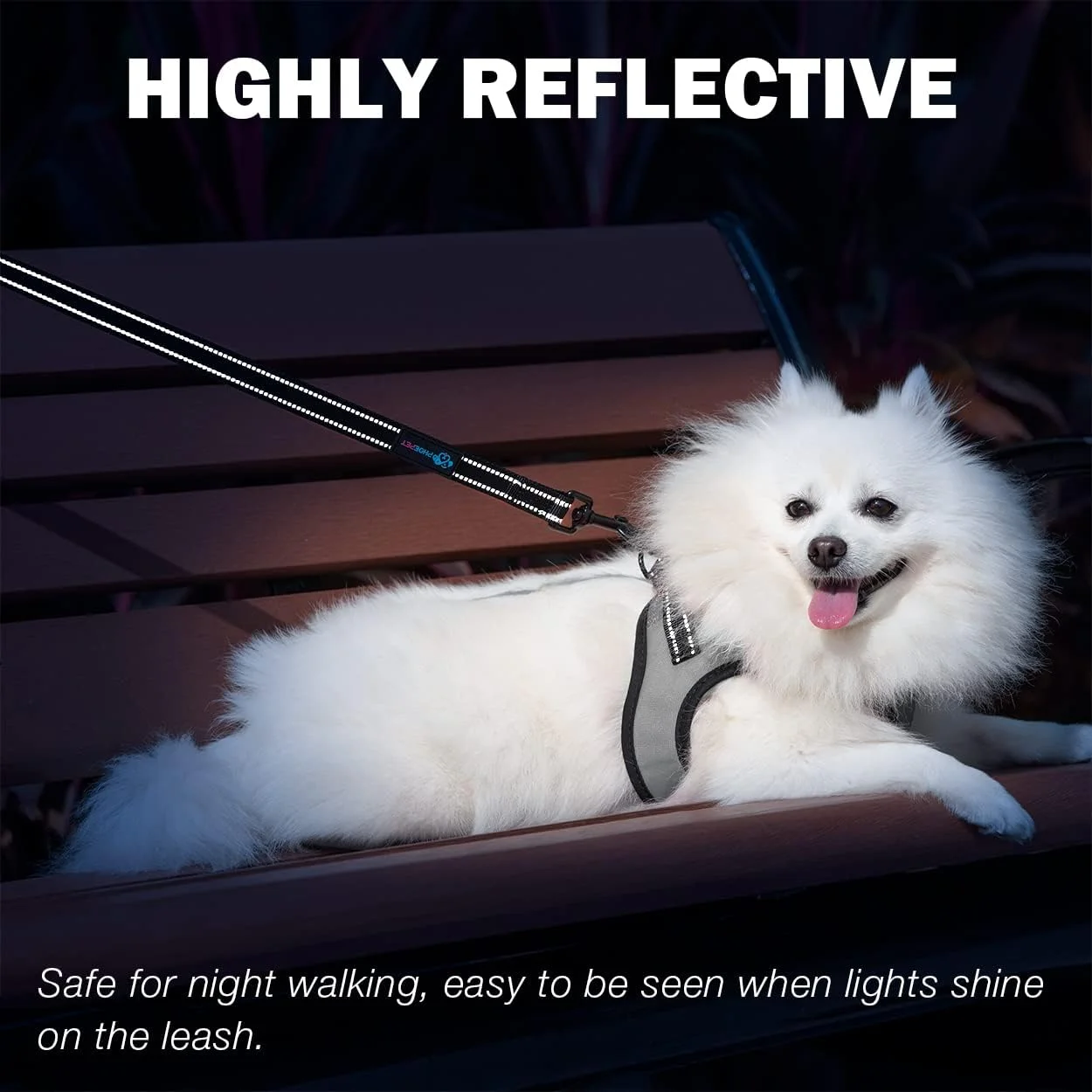 بند قلاده سگ فئوپت، 1.5 متری، مقاوم - دارای بازتابنده - دسته نرم و پد دار با دستگیره ترافیکی برای کنترل بیشتر (بزرگ، بنفش) بند قلاده سگ فئوپت، 1.5 متری، مقاوم - دارای بازتابنده - دسته نرم و پد دار با دستگیره ترافیکی برای کنترل بیشتر (بزرگ، بنفش)