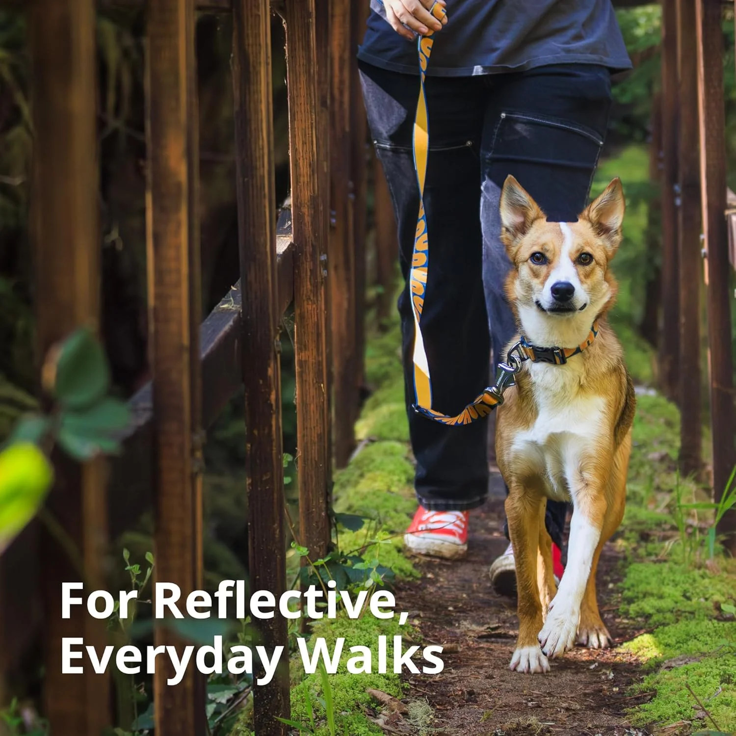 قلاده سگ RUFFWEAR Crag، قلاده کوچک سگ با حلقه V آلومینیومی، قلاده سگ خانگی با طول قابل تنظیم، قلاده نرم راحت، قلاده حیوانات ممتاز با حلقه اتصال بند سگ، 28-36 سانتی متر، Alpine Dawn