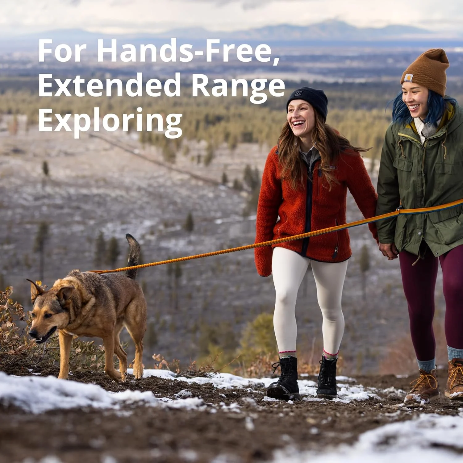 بند قلاده کششی سگ راف ور، بند سگ برای دویدن، بند قابل افزایش طول سگ، قابل استفاده دستی یا دور کمر، سبک و قابل تنظیم، لوازم جانبی ممتاز حیوانات خانگی برای پیاده روی، 2.2-3.4 متر طول، سبز بند قلاده کششی سگ راف ور، بند سگ برای دویدن، بند قابل افزایش طول سگ، قابل استفاده دستی یا دور کمر، سبک و قابل تنظیم، لوازم جانبی ممتاز حیوانات خانگی برای پیاده روی، 2.2-3.4 متر طول، سبز