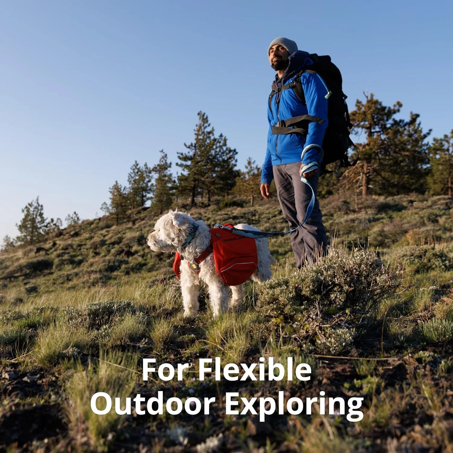 بند سگ راف ور مدل Crag GROXBOW