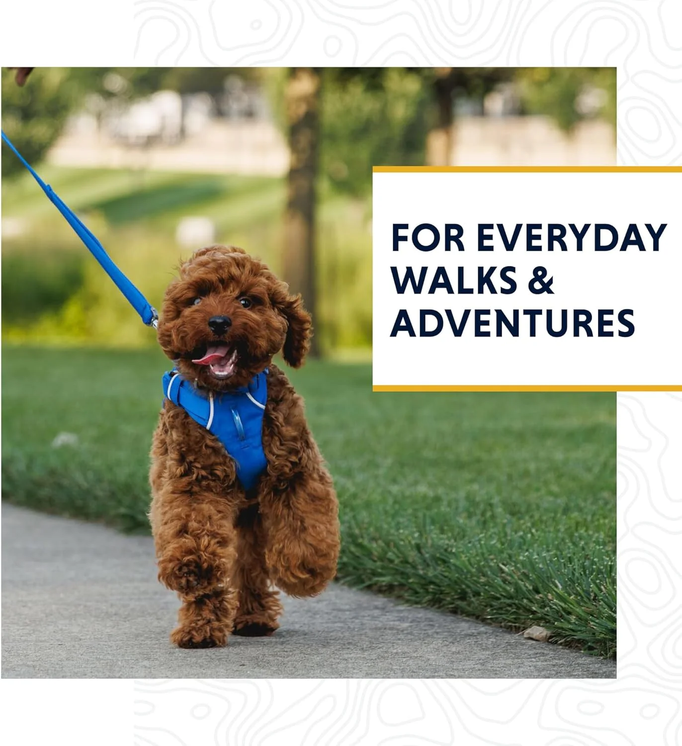 بند قلاده سگ RUFFWEAR Front Range، بند سگ 1.5 متری بدون کشیدگی با دسته پد دار، بند سگ سبک وزن قابل تنظیم و مقاوم، بند پیاده روی و آموزش سگ ضد گره خوردگی، سبز صخره ای