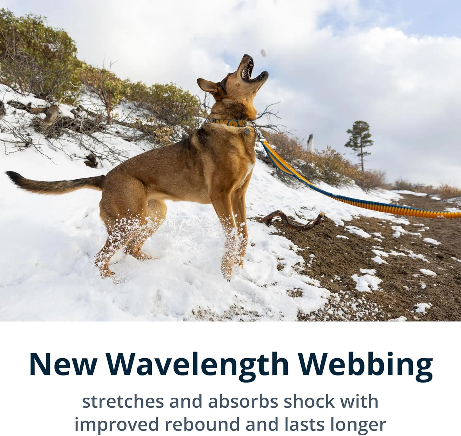 بند قلاده کششی سگ راف ور، بند سگ برای دویدن، بند قابل افزایش طول سگ، قابل استفاده دستی یا دور کمر، سبک و قابل تنظیم، لوازم جانبی ممتاز حیوانات خانگی برای پیاده روی، 2.2-3.4 متر طول، سبز بند قلاده کششی سگ راف ور، بند سگ برای دویدن، بند قابل افزایش طول سگ، قابل استفاده دستی یا دور کمر، سبک و قابل تنظیم، لوازم جانبی ممتاز حیوانات خانگی برای پیاده روی، 2.2-3.4 متر طول، سبز