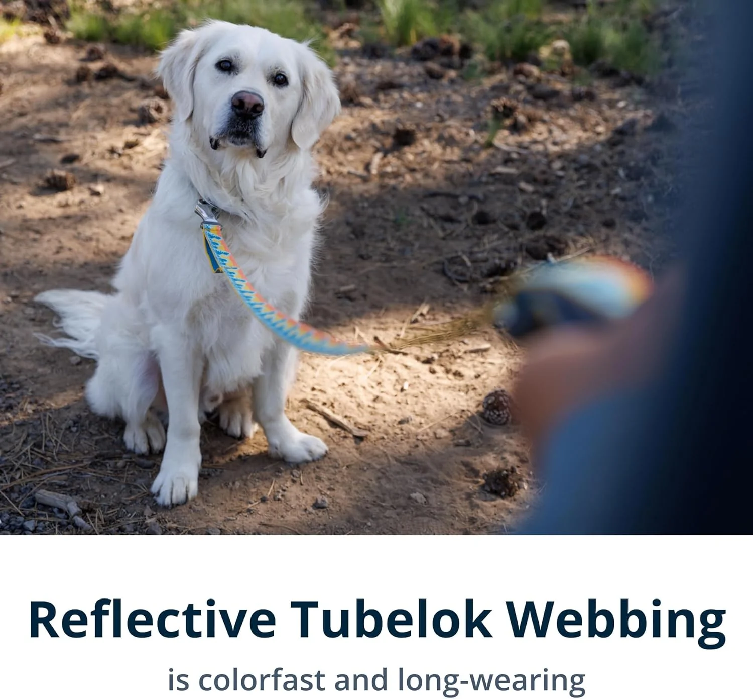 بند سگ راف ور مدل Crag GROXBOW