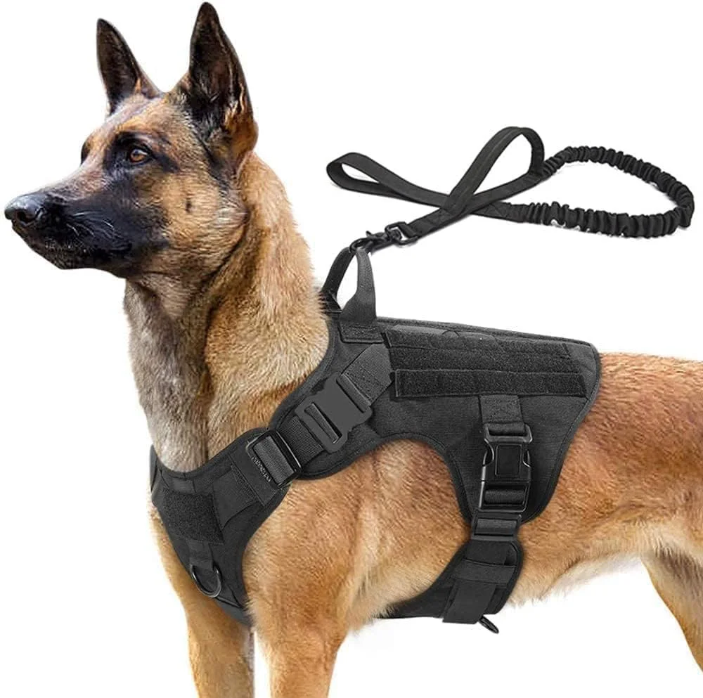 ست قلاده و هارنس تاکتیکال سگ SKADE برای سگ های بزرگ و متوسط، هارنس نظامی سگ با دستگیره، جلیقه سگ با پنل های Molle و حلقه، هارنس جلیقه سگ قابل تنظیم برای تمرین، شکار و پیاده روی (XL) ست قلاده و هارنس تاکتیکال سگ SKADE برای سگ های بزرگ و متوسط، هارنس نظامی سگ با دستگیره، جلیقه سگ با پنل های Molle و حلقه، هارنس جلیقه سگ قابل تنظیم برای تمرین، شکار و پیاده روی (XL)