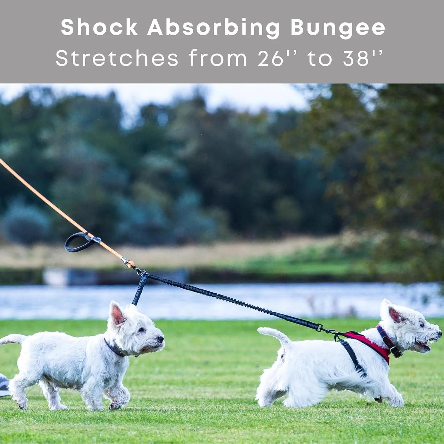 تقسیم کننده بند قلاده سگ - اتصال بند دوتایی بانجی با قابلیت جذب شوک - بندهای ایده آل برای پیاده روی 2 سگ کوچک تا متوسط با یک بند - گیره چرخان 360 درجه بدون گره خوردگی - دوخت بازتابنده