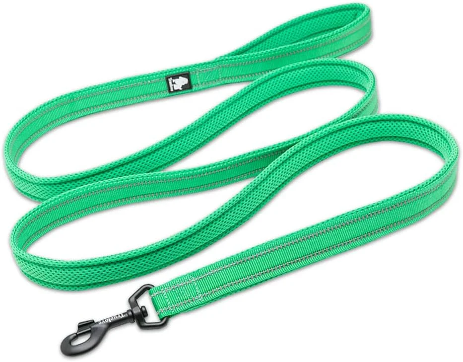 بند قلاده سگ WINHYEPET، مناسب برای پیاده‌روی توله سگ، دسته نرم، ایمنی بازتابنده در شب، طول 110 سانتی‌متر، سایز M (عرض 2 سانتی‌متر)، سبز