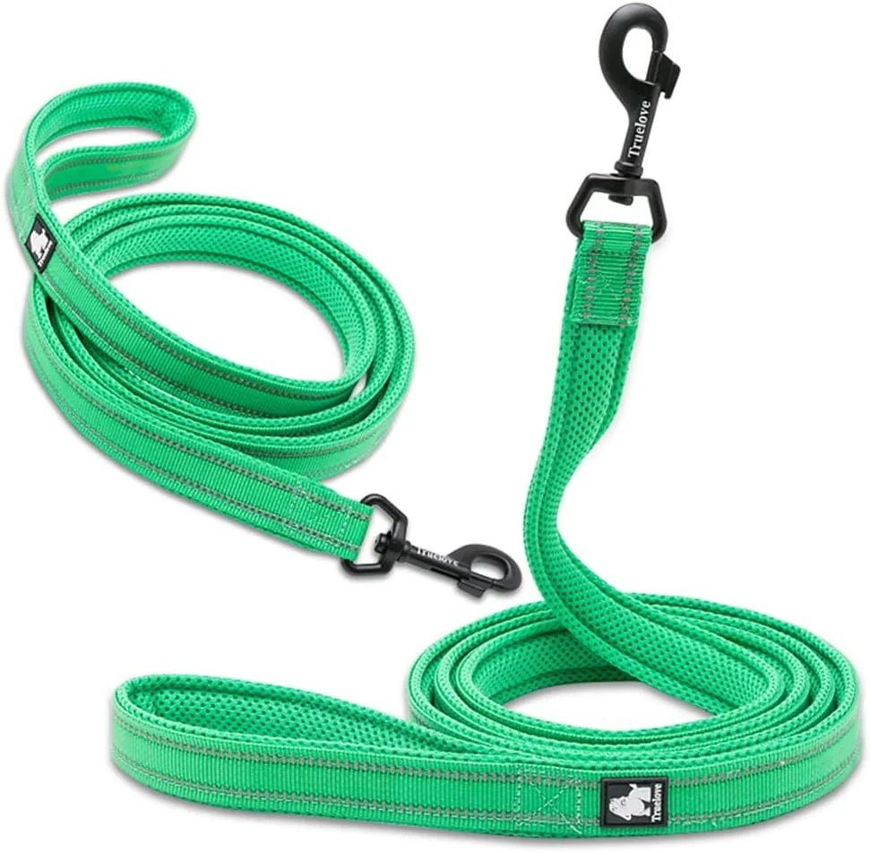 بند قلاده سگ WINHYEPET، مناسب برای پیاده‌روی توله سگ، دسته نرم، ایمنی بازتابنده در شب، طول 110 سانتی‌متر، سایز M (عرض 2 سانتی‌متر)، سبز