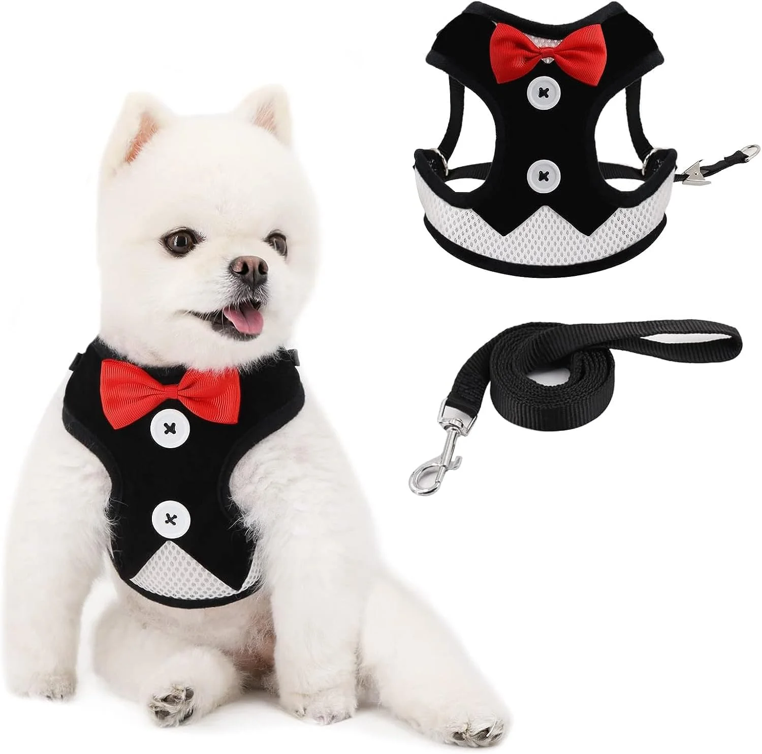 ست قلاده و افسار سگ Xspring، ست قلاده سگ زیبا، ست افسار مشکی کوچک، جلیقه تنفسی قابل تنظیم حیوانات خانگی با پاپیون برای محدوده سینه و پشت 23-42 سانتی متر، توله سگ کوچک متوسط، سایز S ست قلاده و افسار سگ Xspring، ست قلاده سگ زیبا، ست افسار مشکی کوچک، جلیقه تنفسی قابل تنظیم حیوانات خانگی با پاپیون برای محدوده سینه و پشت 23-42 سانتی متر، توله سگ کوچک متوسط، سایز S