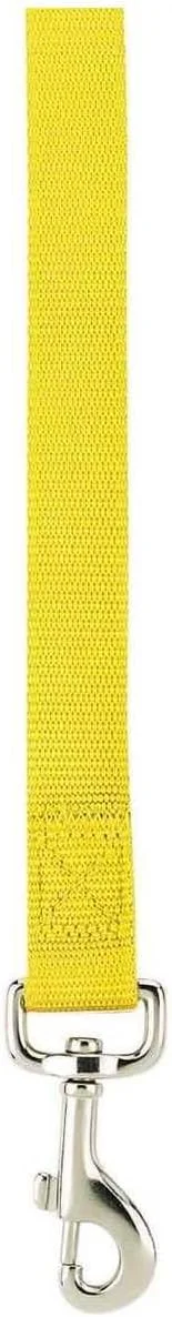 بند قلاده سگ نایلونی زک اند زویی، 180 سانتی متر در 2.5 سانتی متر، زرد بند قلاده سگ نایلونی زک اند زویی، 180 سانتی متر در 2.5 سانتی متر، زرد