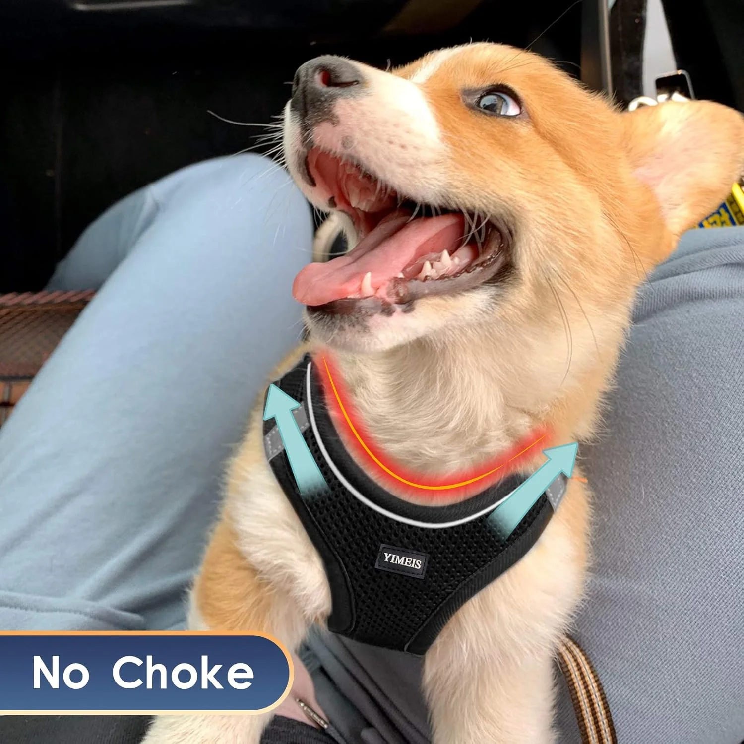 ست قلاده و بند سگ YIMEIS، قلاده توری نرم بدون کشش برای حیوانات خانگی، جلیقه بازتابنده قابل تنظیم برای توله سگ های کوچک و گربه ها (XS، مشکی) ست قلاده و بند سگ YIMEIS، قلاده توری نرم بدون کشش برای حیوانات خانگی، جلیقه بازتابنده قابل تنظیم برای توله سگ های کوچک و گربه ها (XS، مشکی)