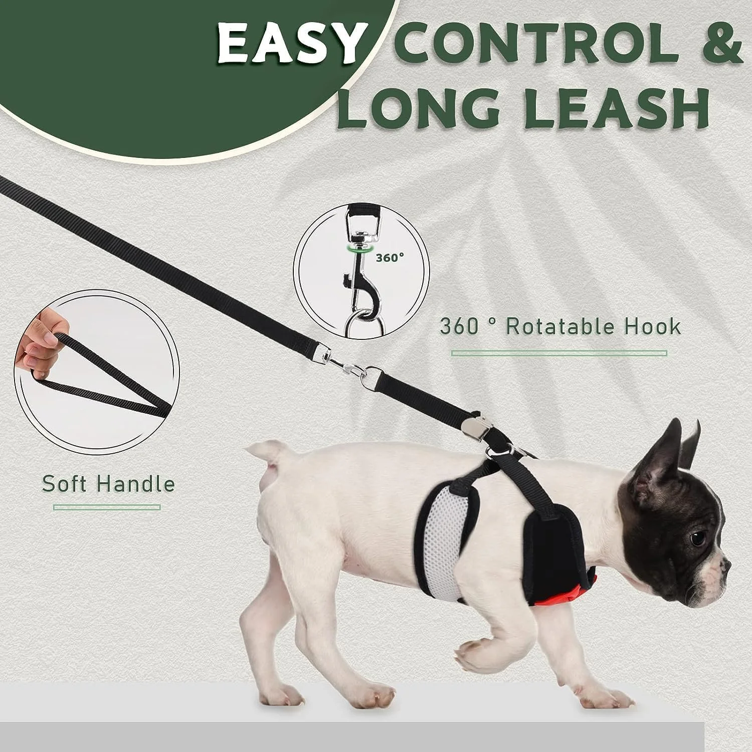 ست قلاده و افسار سگ Xspring، ست قلاده سگ زیبا، ست افسار مشکی کوچک، جلیقه تنفسی قابل تنظیم حیوانات خانگی با پاپیون برای محدوده سینه و پشت 23-42 سانتی متر، توله سگ کوچک متوسط، سایز S ست قلاده و افسار سگ Xspring، ست قلاده سگ زیبا، ست افسار مشکی کوچک، جلیقه تنفسی قابل تنظیم حیوانات خانگی با پاپیون برای محدوده سینه و پشت 23-42 سانتی متر، توله سگ کوچک متوسط، سایز S