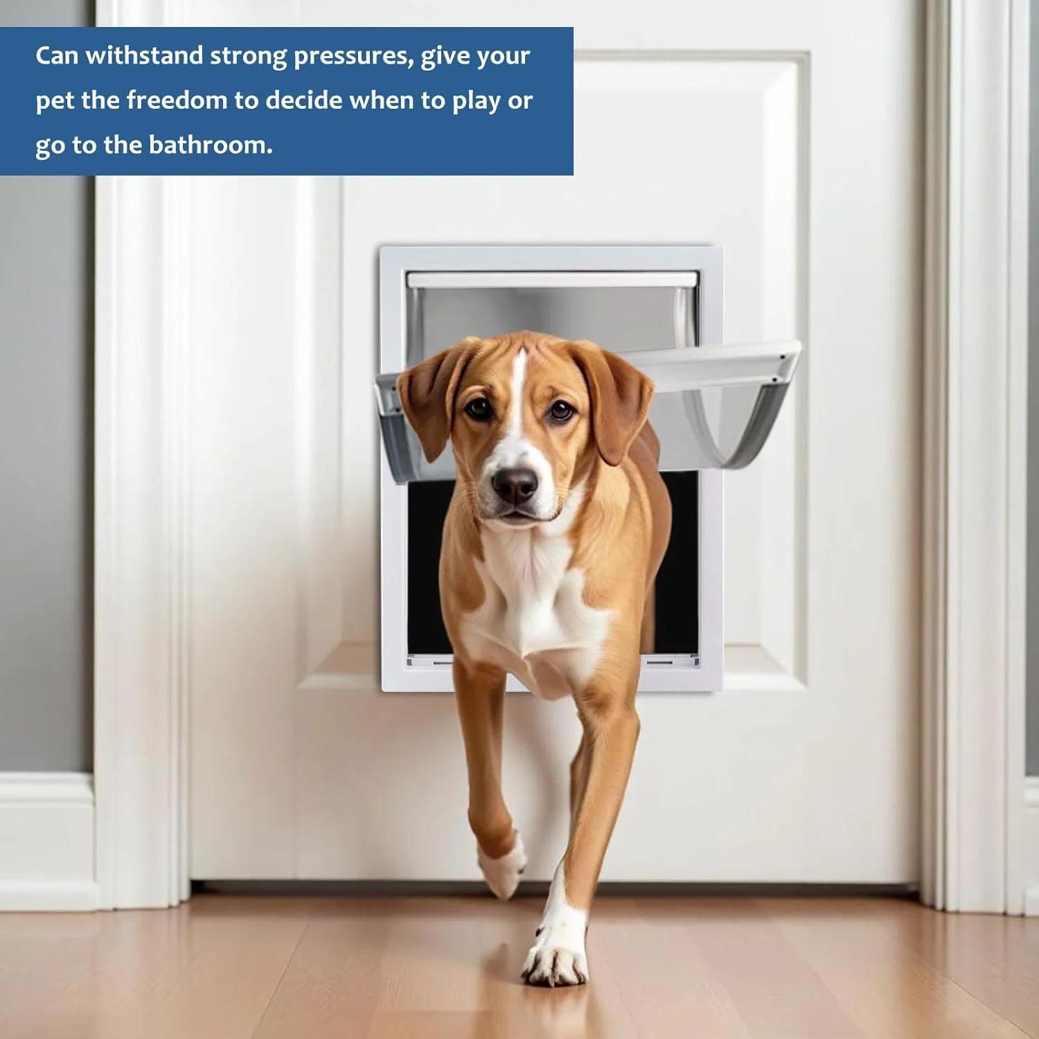 درب بزرگ سگ CEESC با دریچه مغناطیسی نرم و شفاف و پنل بسته‌شونده، درب حیوانات خانگی پلاستیکی PVC ممتاز برای سگ‌های بزرگ (XL، سفید)