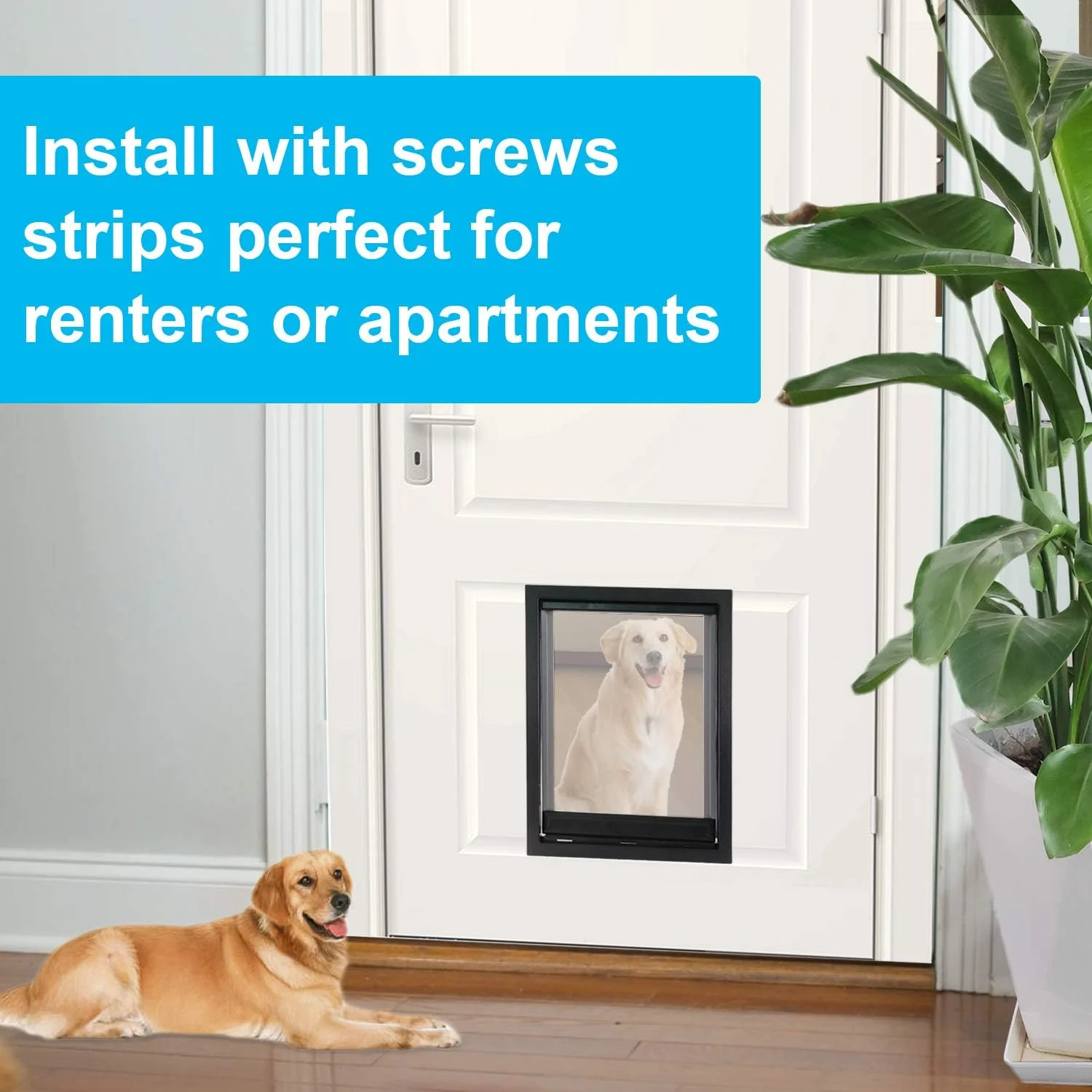 درب حیوانات خانگی CEESC با دریچه مغناطیسی نرم و شفاف و پنل بستهشونده، درب با کیفیت PVC برای سگهای کوچک و گربهها (M، مشکی) درب حیوانات خانگی CEESC با دریچه مغناطیسی نرم و شفاف و پنل بستهشونده، درب با کیفیت PVC برای سگهای کوچک و گربهها (M، مشکی)