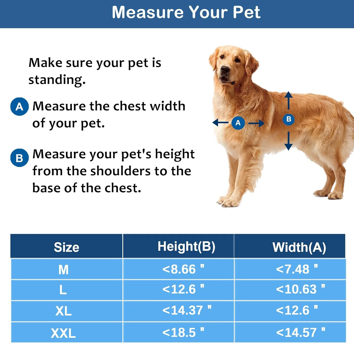 درب حیوانات خانگی CEESC با دریچه مغناطیسی نرم و شفاف و پنل بستهشونده، درب با کیفیت PVC برای سگهای کوچک و گربهها (M، مشکی) درب حیوانات خانگی CEESC با دریچه مغناطیسی نرم و شفاف و پنل بستهشونده، درب با کیفیت PVC برای سگهای کوچک و گربهها (M، مشکی)