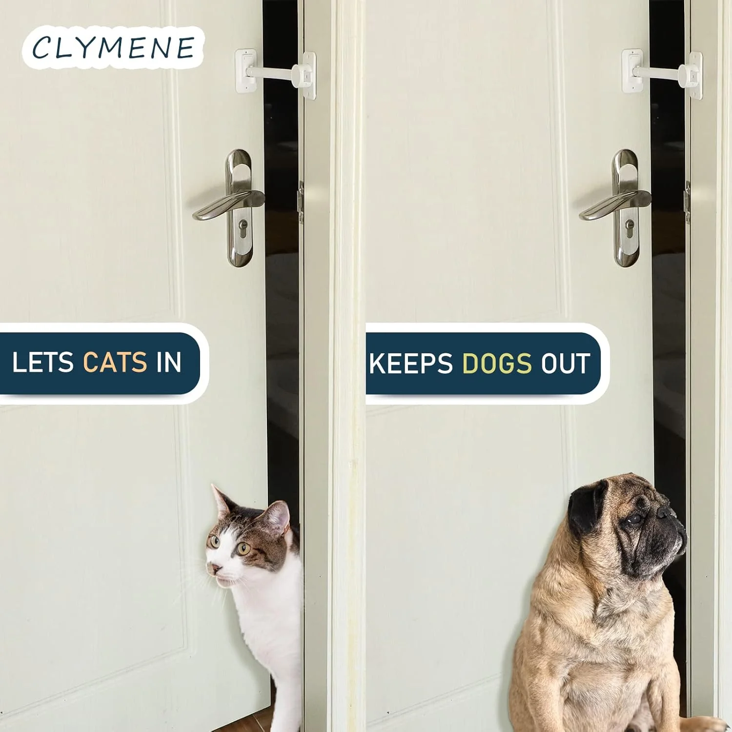 قفل و نگهدارنده درب گربه CLYMENE، قفل درب قابل تنظیم کودک و محافظ انگشت، به گربه ها اجازه ورود می دهد و سگ ها را از خاک و غذا دور نگه می دارد، بدون نیاز به دروازه حیوانات خانگی یا درب داخلی گربه (سفید) قفل و نگهدارنده درب گربه CLYMENE، قفل درب قابل تنظیم کودک و محافظ انگشت، به گربه ها اجازه ورود می دهد و سگ ها را از خاک و غذا دور نگه می دارد، بدون نیاز به دروازه حیوانات خانگی یا درب داخلی گربه (سفید)
