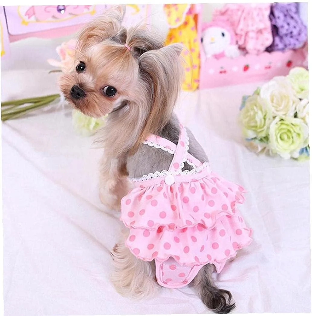 شورت بهداشتی سگ خانگی، بند قابل تنظیم، شورت نخی قابل شستشو و استفاده مجدد با دکمه، شورت فیزیولوژیکی با پوشیدن آسان برای سگ های کوچک و متوسط، 2 عدد (صورتی + بنفش، L) شورت بهداشتی سگ خانگی، بند قابل تنظیم، شورت نخی قابل شستشو و استفاده مجدد با دکمه، شورت فیزیولوژیکی با پوشیدن آسان برای سگ های کوچک و متوسط، 2 عدد (صورتی + بنفش، L)