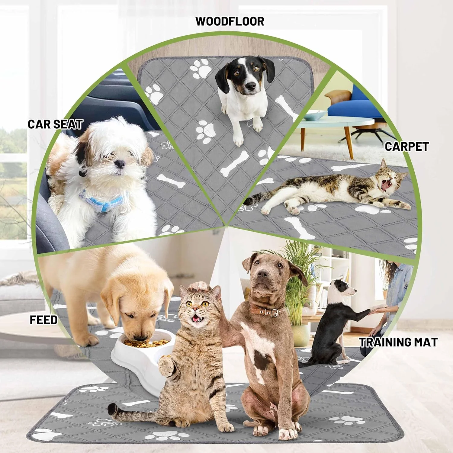 پدهای ادرار شوی پتینساِت برای سگها، 91 در 104 سانتیمتر، پدهای توله سگ قابل استفاده مجدد با قدرت جذب فوقالعاده، بسته 2 عددی پد بزرگ با زیره ضد آب برای آموزش حیوانات خانگی، تربیت در خانه و بیاختیاری پدهای ادرار شوی پتینساِت برای سگها، 91 در 104 سانتیمتر، پدهای توله سگ قابل استفاده مجدد با قدرت جذب فوقالعاده، بسته 2 عددی پد بزرگ با زیره ضد آب برای آموزش حیوانات خانگی، تربیت در خانه و بیاختیاری