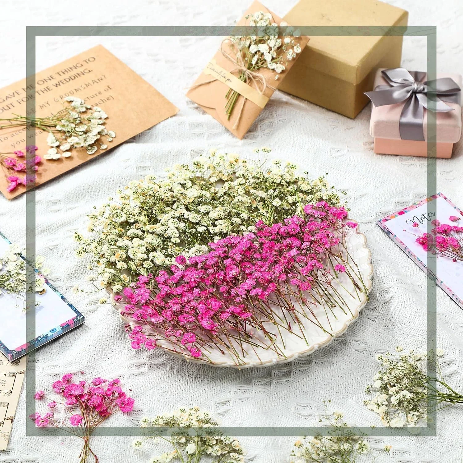 گل خشک بیبی نفس سفید 96 عددی ELECDON برای هنر رزین و صنایع دستی DIY، برای قالب های جواهرات، طراحی ناخن، شمع سازی، قاب گوشی و دکور گل گل خشک بیبی نفس سفید 96 عددی ELECDON برای هنر رزین و صنایع دستی DIY، برای قالب های جواهرات، طراحی ناخن، شمع سازی، قاب گوشی و دکور گل