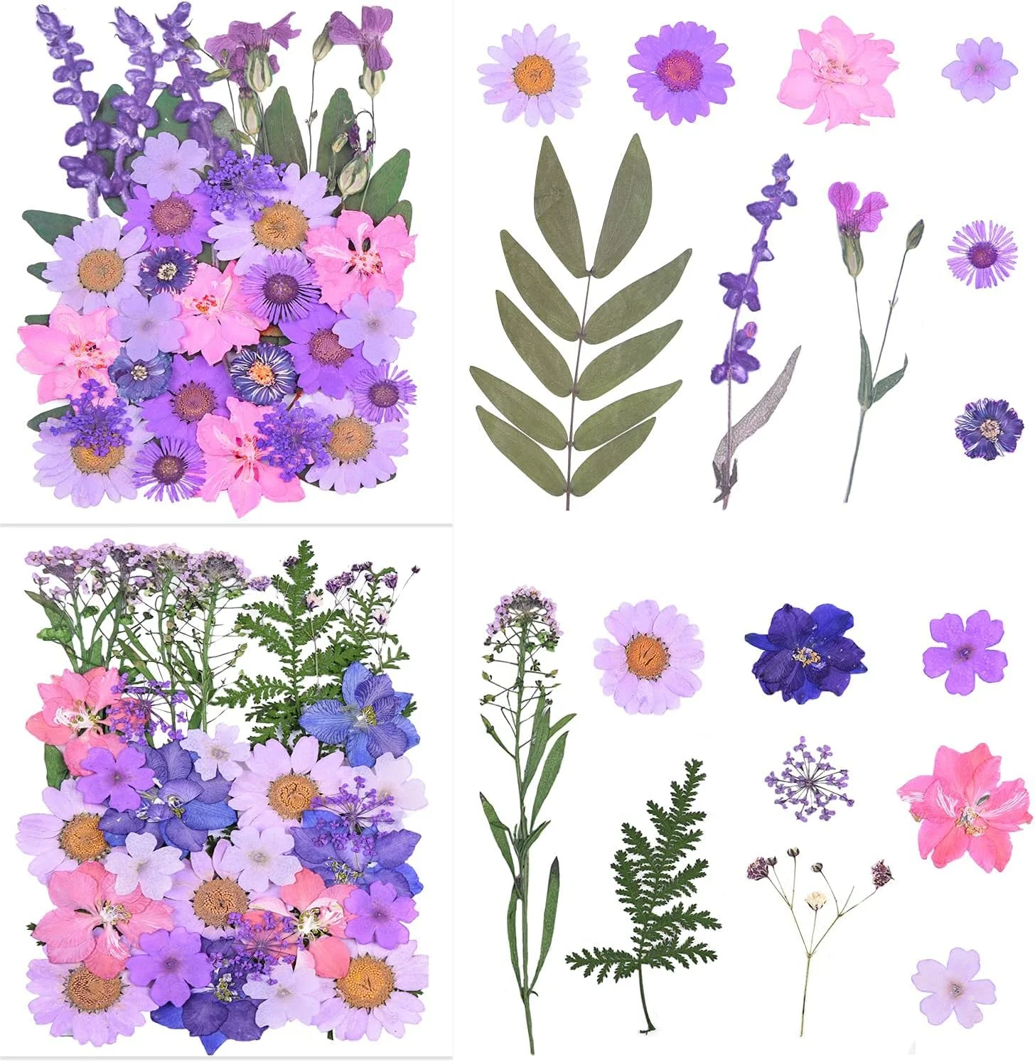 مجموعه 73 عددی گل های پرس شده خشک بنفش رنگ، گل های طبیعی و گیاهان برای ساخت جواهرات، شمع، صابون، گلدان، کارت ناخن، دفترچه یادداشت، هنر و صنایع دستی و دکوراسیون گل