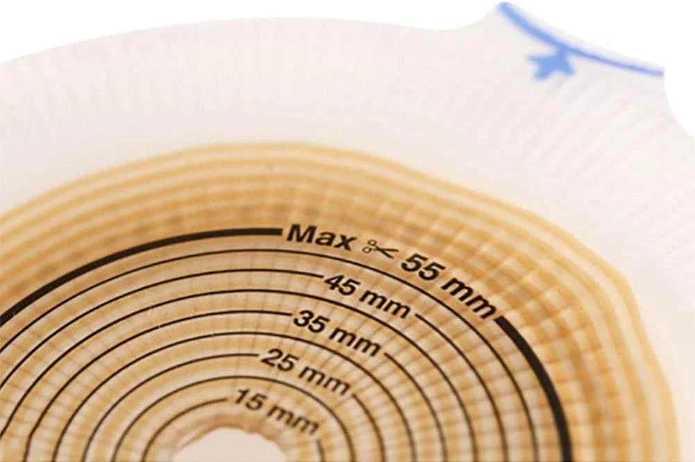 کمربند استومی تابستانی، بند استومی با مهر و موم ساده، 10 عدد
