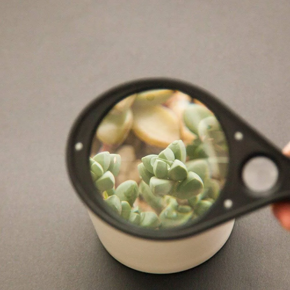 ذرهبین دستی مناسب برای مطالعه روزنامه، آینه اصلی 2.5X، آینه کمکی 5X، دفترچه راهنما، ذرهبین پزشکی ذرهبین دستی مناسب برای مطالعه روزنامه، آینه اصلی 2.5X، آینه کمکی 5X، دفترچه راهنما، ذرهبین پزشکی