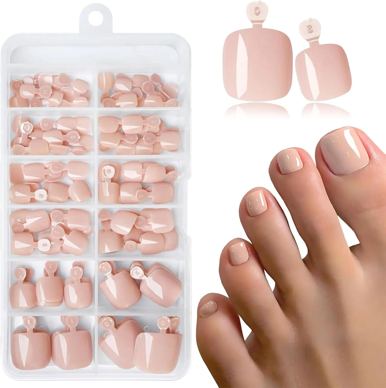ناخن مصنوعی پا رنگ پوست 120 عددی با چسب ناخن مصنوعی پا رنگ پوست 120 عددی با چسب