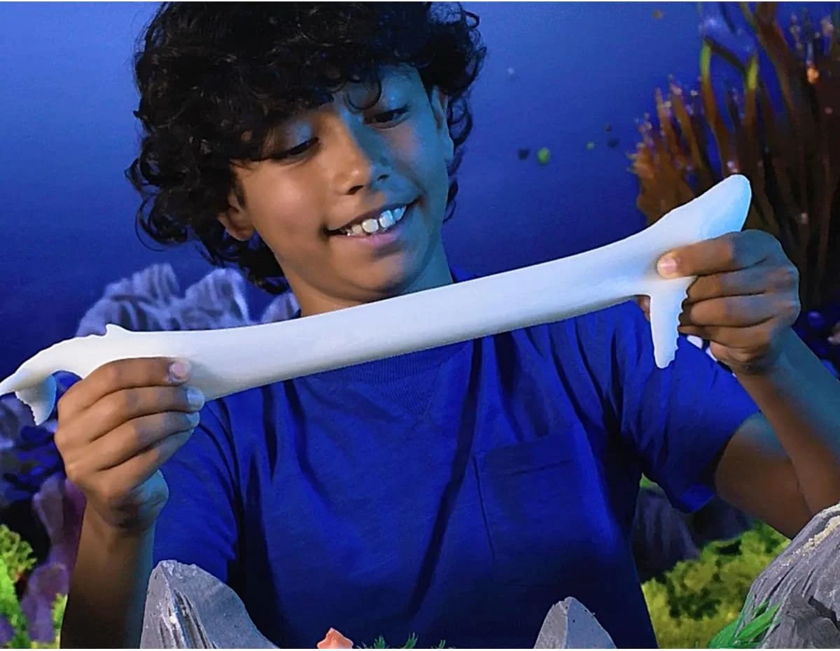 اسباب بازی های خنده دار جعبه ای افسانه حیوانات، شکارچیان دریایی برای کودکان: عروسک های نرم و کشسان - کوسه ببری، نهنگ قاتل، مانتا، باراکودا (4 عدد) - کودک