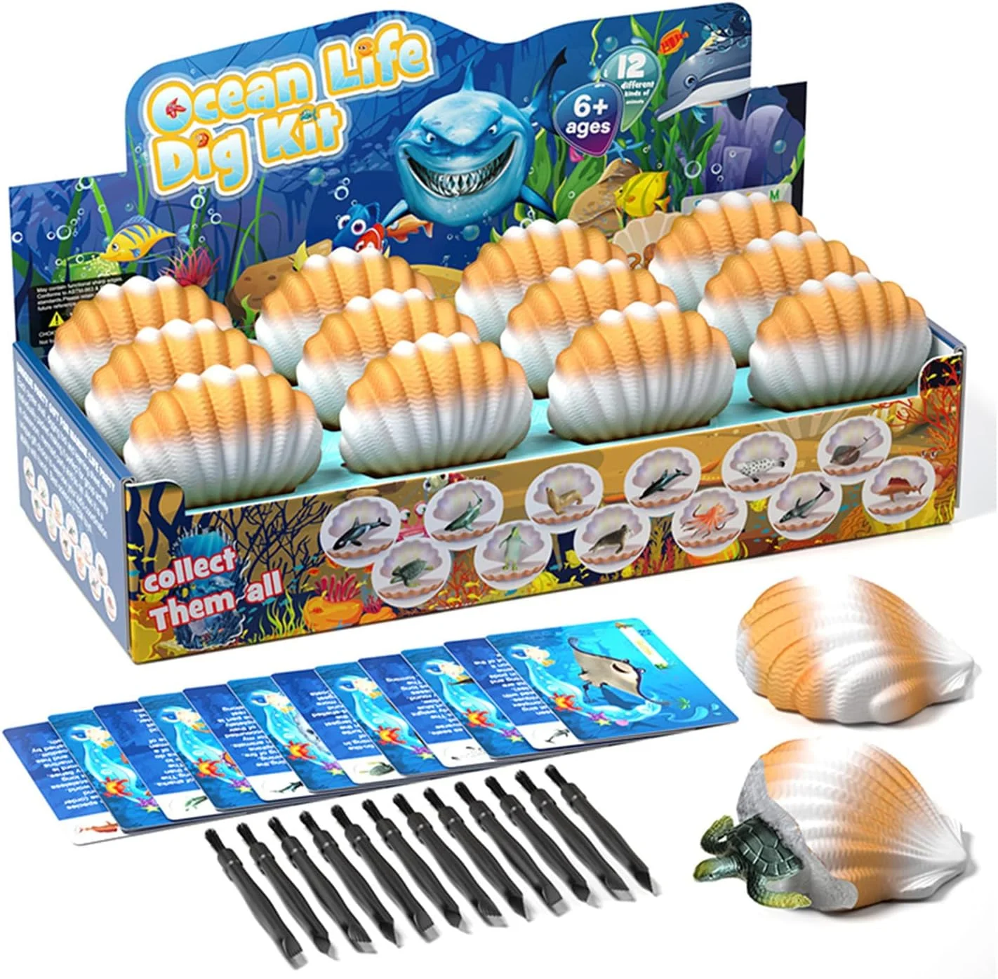 مجموعه کاوش حیوانات اقیانوسی AM ANNA، آجرهای کاوش صدف دریایی شامل 12 اسباب بازی حیوانات دریایی، مجموعه علمی حفاری زندگی اقیانوسی برای فعالیت های کودکان، اسباب بازی های آموزشی STEM برای پسران و دختران