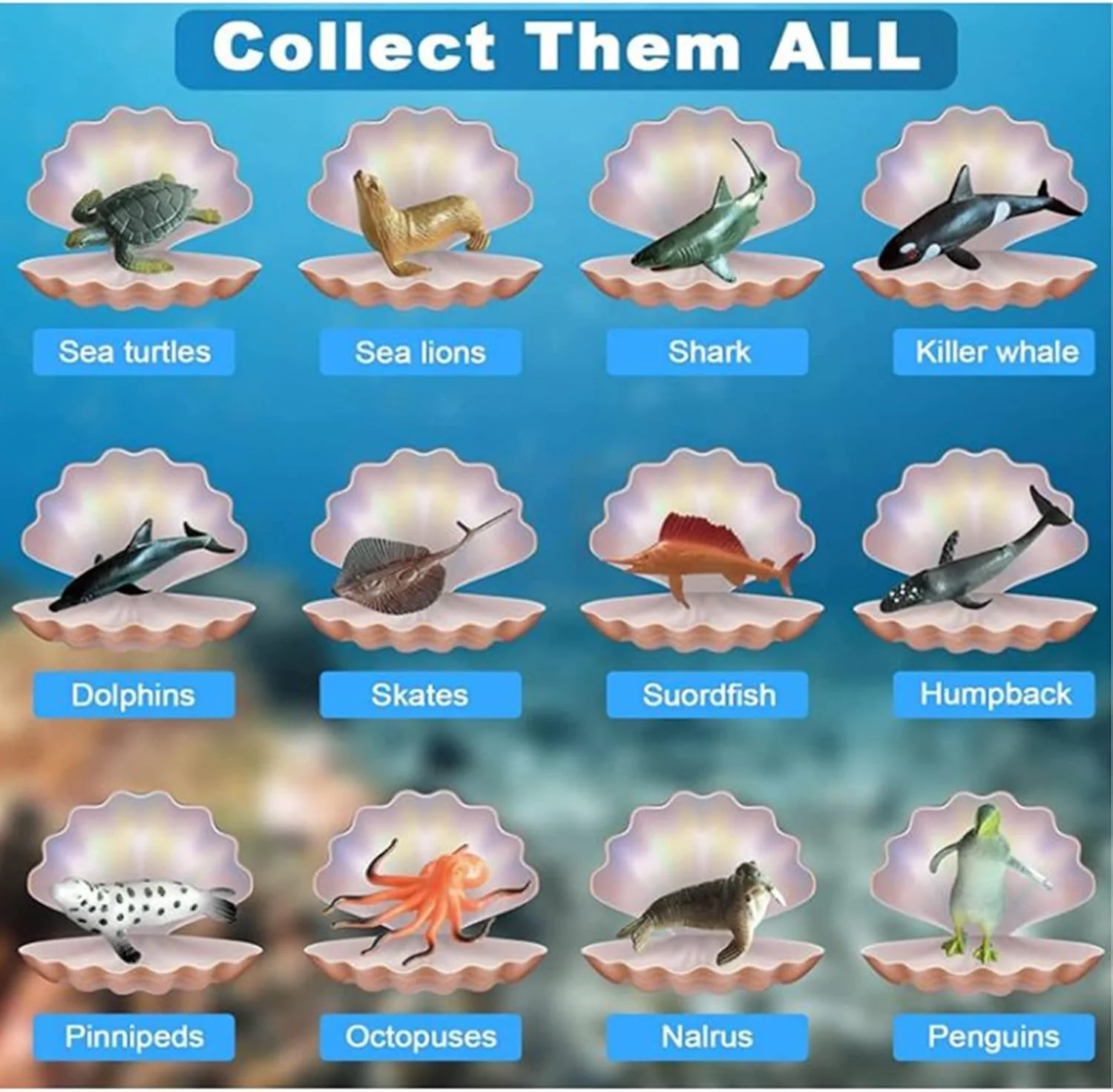 مجموعه کاوش حیوانات اقیانوسی AM ANNA، آجرهای کاوش صدف دریایی شامل 12 اسباب بازی حیوانات دریایی، مجموعه علمی حفاری زندگی اقیانوسی برای فعالیت های کودکان، اسباب بازی های آموزشی STEM برای پسران و دختران مجموعه کاوش حیوانات اقیانوسی AM ANNA، آجرهای کاوش صدف دریایی شامل 12 اسباب بازی حیوانات دریایی، مجموعه علمی حفاری زندگی اقیانوسی برای فعالیت های کودکان، اسباب بازی های آموزشی STEM برای پسران و دختران