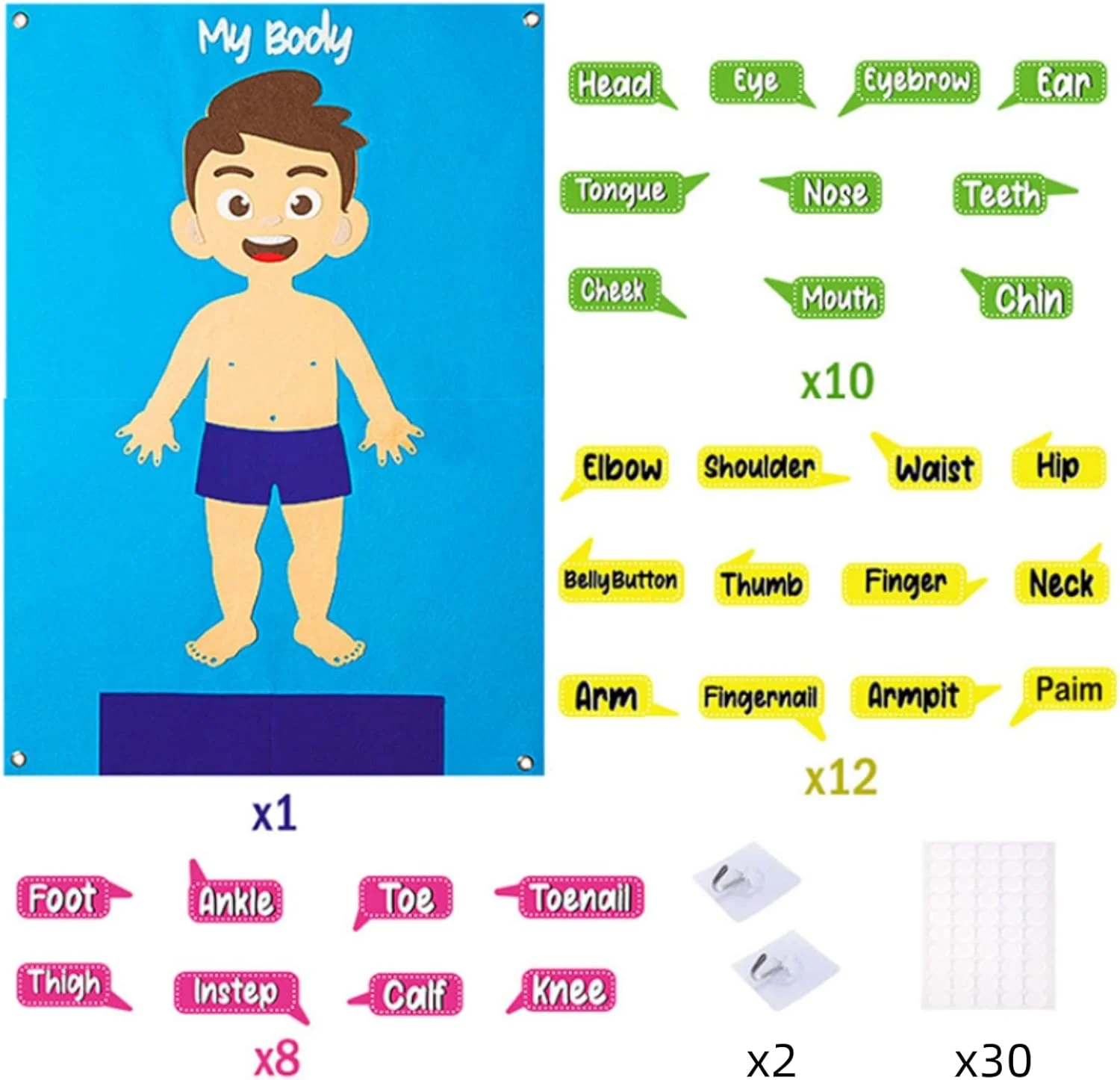 تخته آموزشی حسی بدن نمدی مونته سوری AM ANNA، مجموعه تخته داستان نمدی آموزش اعضای بدن، برچسب زدن اعضای بدن اسباب بازی تعاملی کودکان، آویز دیواری برای کودکان نوپا تخته آموزشی حسی بدن نمدی مونته سوری AM ANNA، مجموعه تخته داستان نمدی آموزش اعضای بدن، برچسب زدن اعضای بدن اسباب بازی تعاملی کودکان، آویز دیواری برای کودکان نوپا