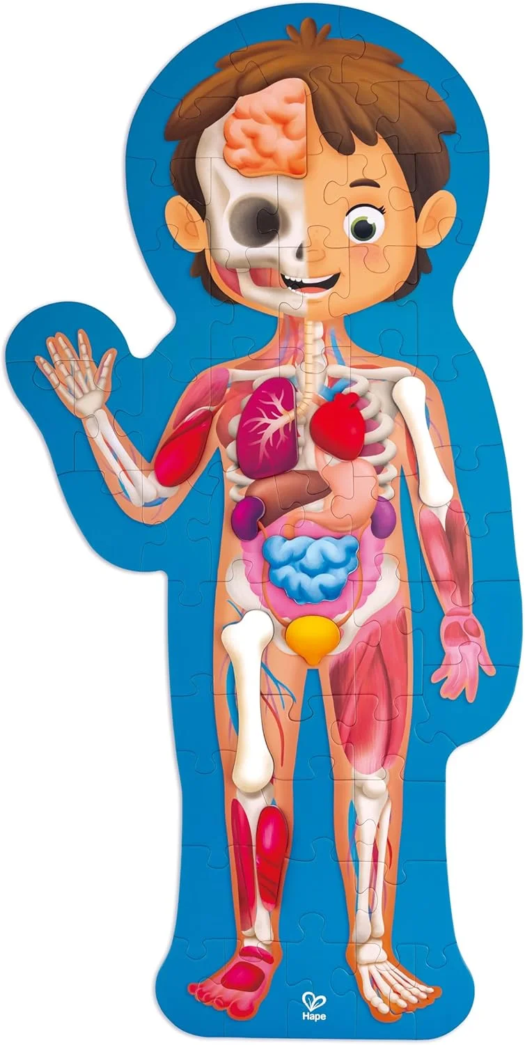 پازل بدن انسان Hape | پازل اره منبت کاری آناتومی با 10 قطعه چوبی و پوستر پر از اطلاعات | پازل آموزشی برای کودکان 4 سال به بالا